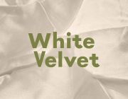 White Velvet - Présentation Du Titre Tout Simplement Tout Doucement 19 Avril 2021